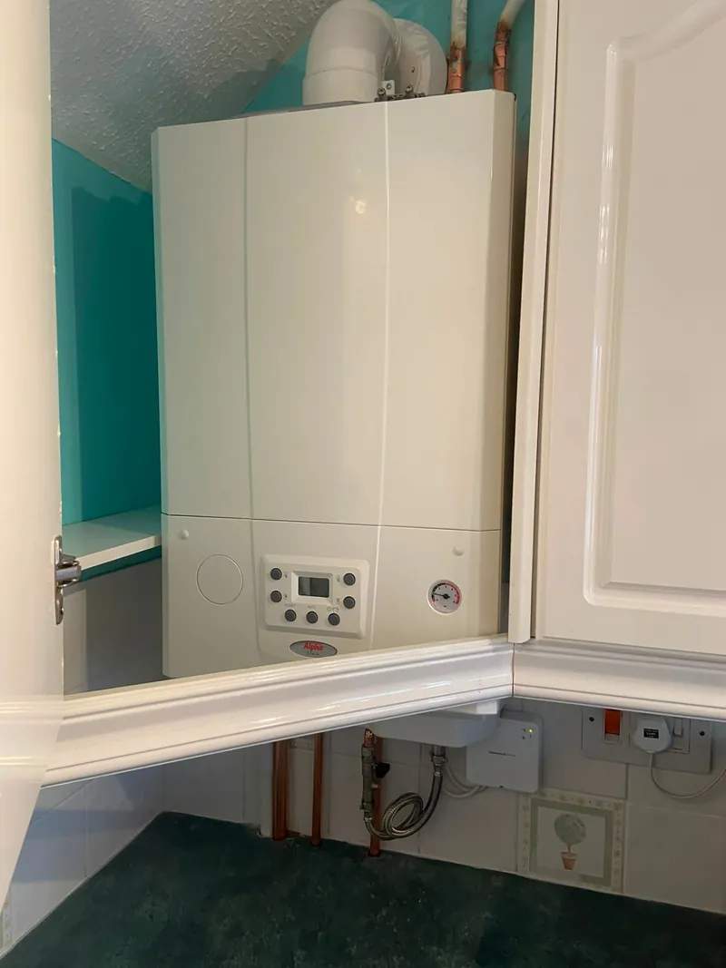Alpha boiler installed in a painted cupboard with controls